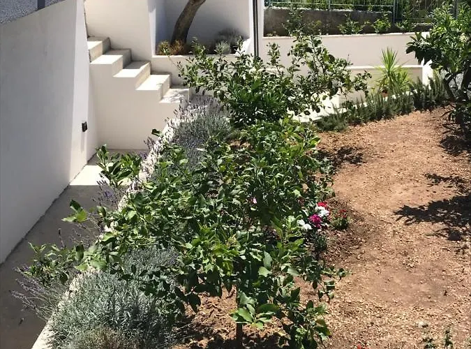 Tonkita With Jacuzzi