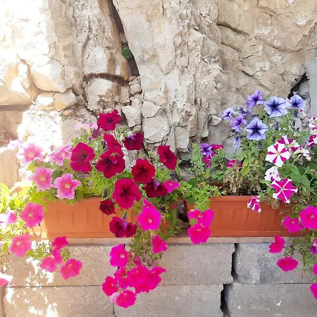 Tonkita With Jacuzzi Lejlighed *