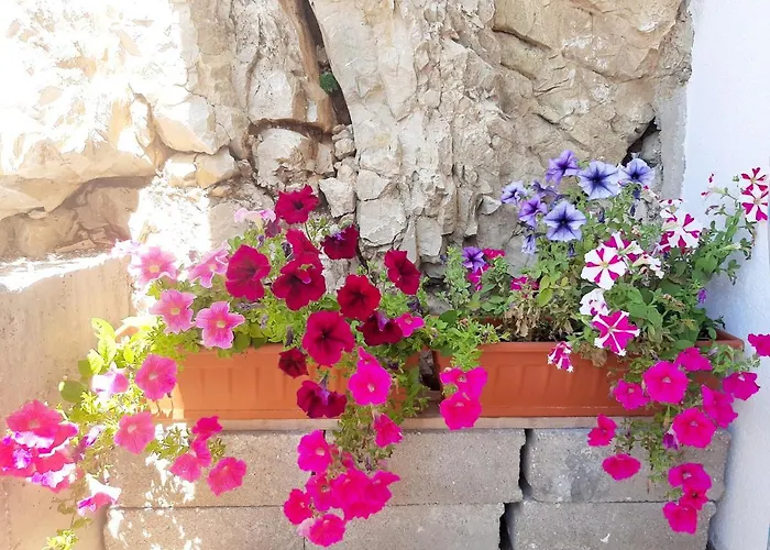 Tonkita With Jacuzzi דירה *