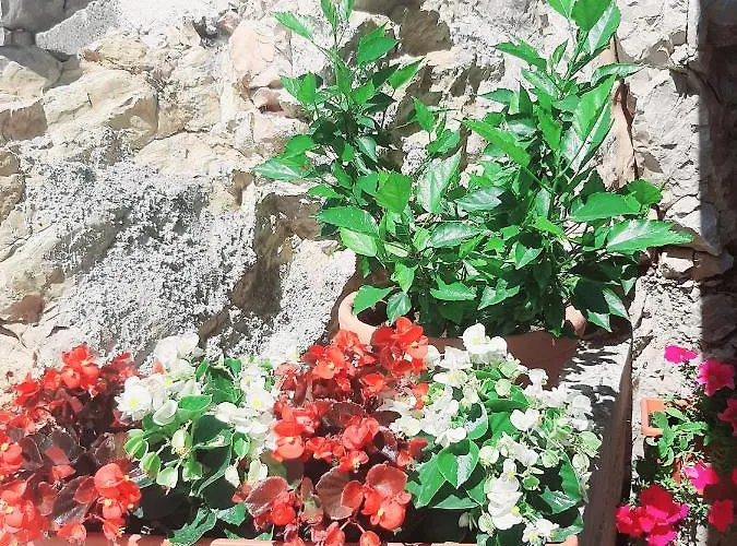 Tonkita With Jacuzzi 马卡尔斯卡