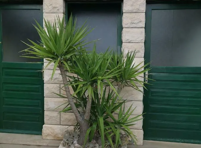 Tonkita With Jacuzzi Appartement Makarska